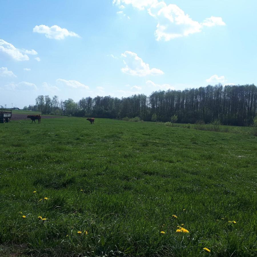 Apartamenty Sawino 4 Tykocin Bagian luar foto